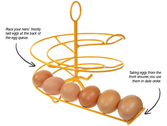 Omlet Egg Skelter – Red – 24 egg capacity – The Chookyard
