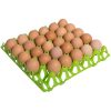 0001967_plastic-egg-tray-single