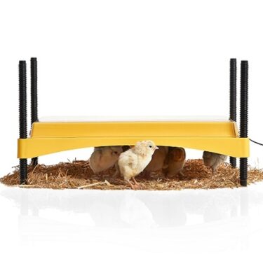 Brinsea EcoGlow 1200 Safety Chick Brooder Heat Plate
