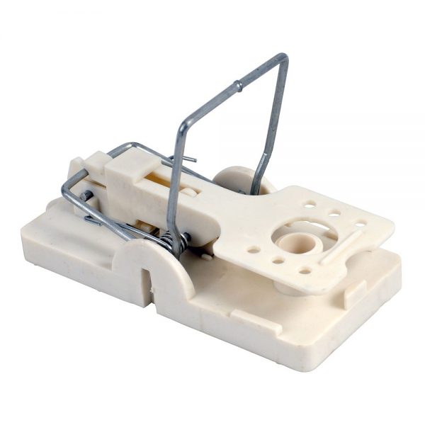 0001898_mouse-trap-heavy-duty