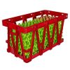 0002181_egg-tray-transport-crate