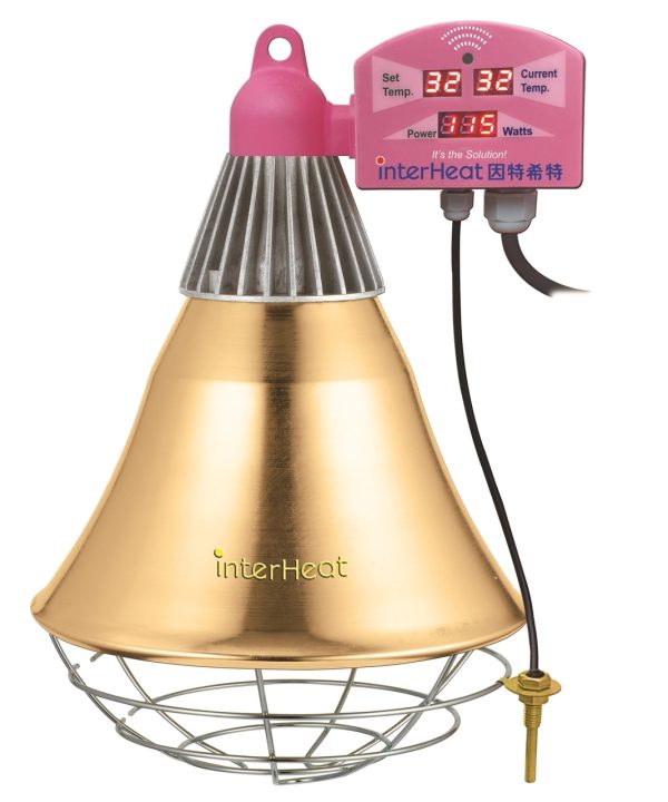 0002229_heat-lamp-small-thermostat-remote