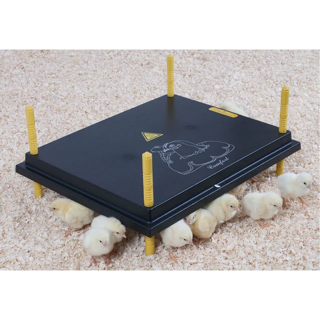 0000918_comfort-heat-plate-50-x-40-cm_60b95e2a-63af-4eb8-9b20-4d32c83d74d0 0000918_comfort-heat-plate-50-x-40-cm_60b95e2a-63af-4eb8-9b20-4d32c83d74d0